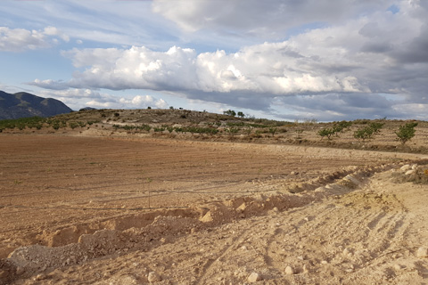 Irrigation pour 1'200 amandiers pour Pedro Garcia | étude sanitaire Atechnik